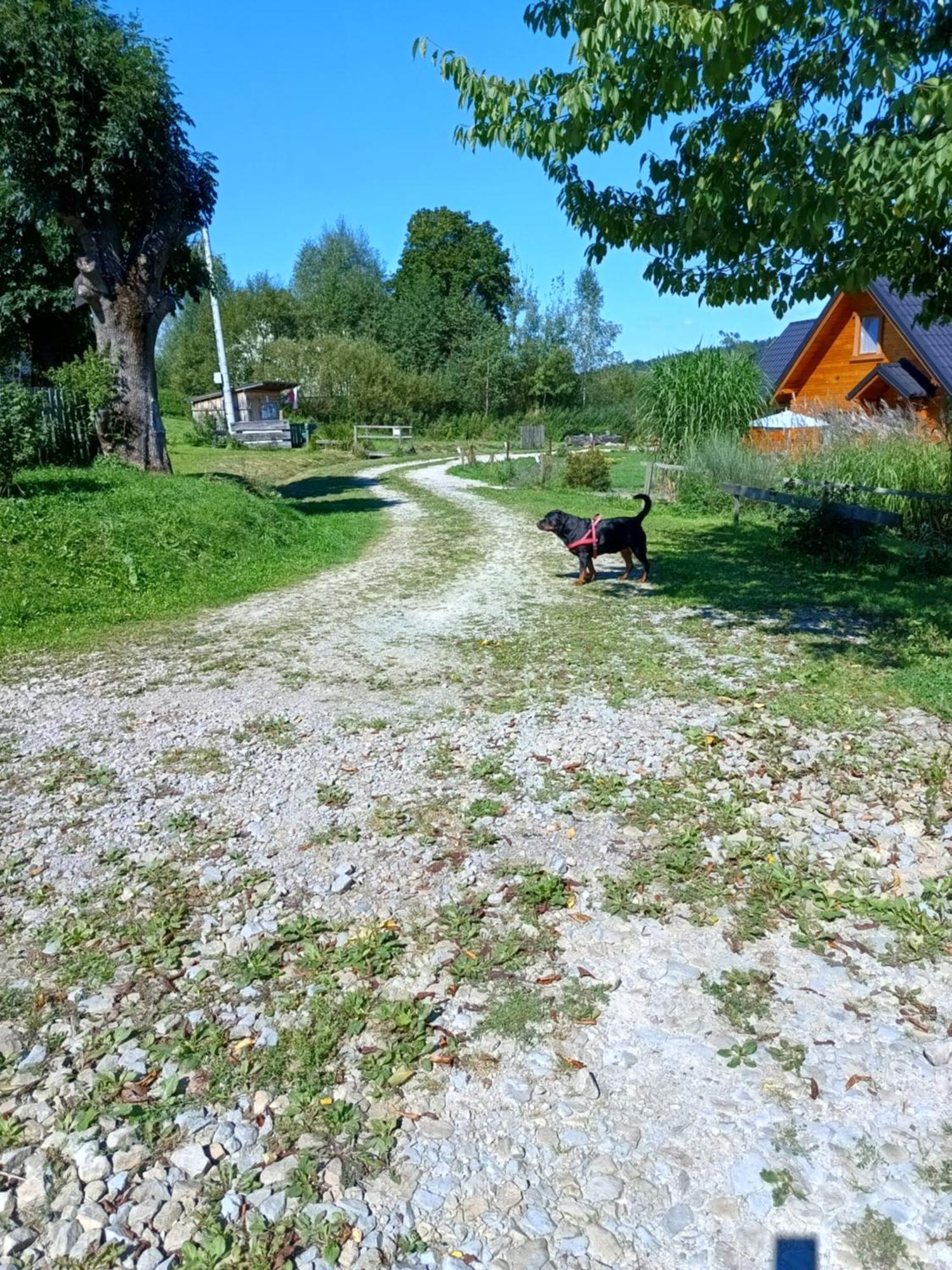 Villa Dolina Rosy Ustrzyki Dolne Exterior foto